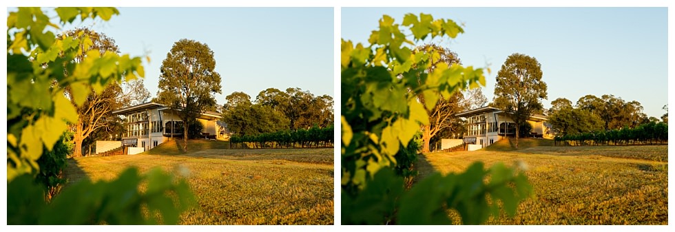 ArtyJ Photography | Photography, Lambloch, Wine Bottles, Commercial, Pokolbin, Australia, NSW, Hunter Valley | Lambloch | Commercial