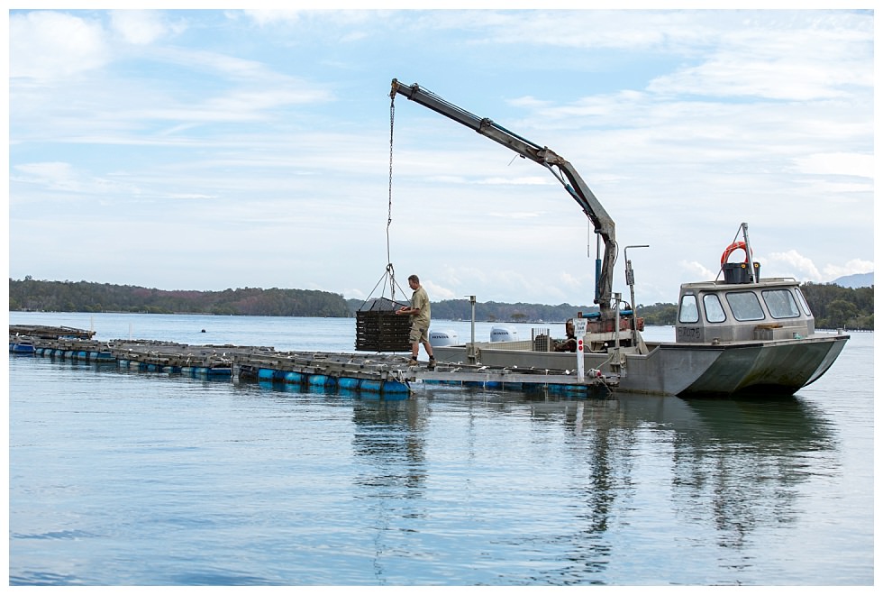 ArtyJ Photography | Photography, Commercial | Armstrong Oysters - Farmer Magazine | Commercial