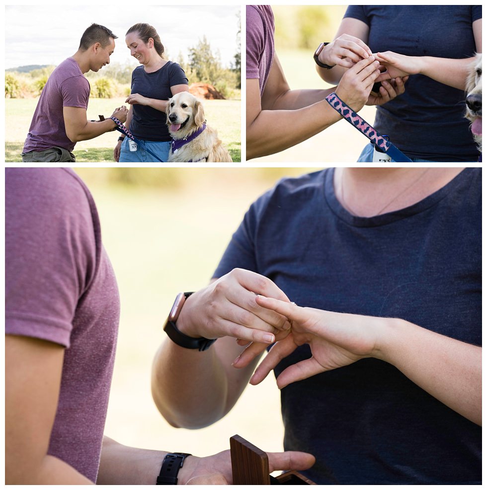 ArtyJ Photography | Proposal, NSW, Photography, Newcastle, Summer Proposal | Chelsea & Brendon | Proposal
