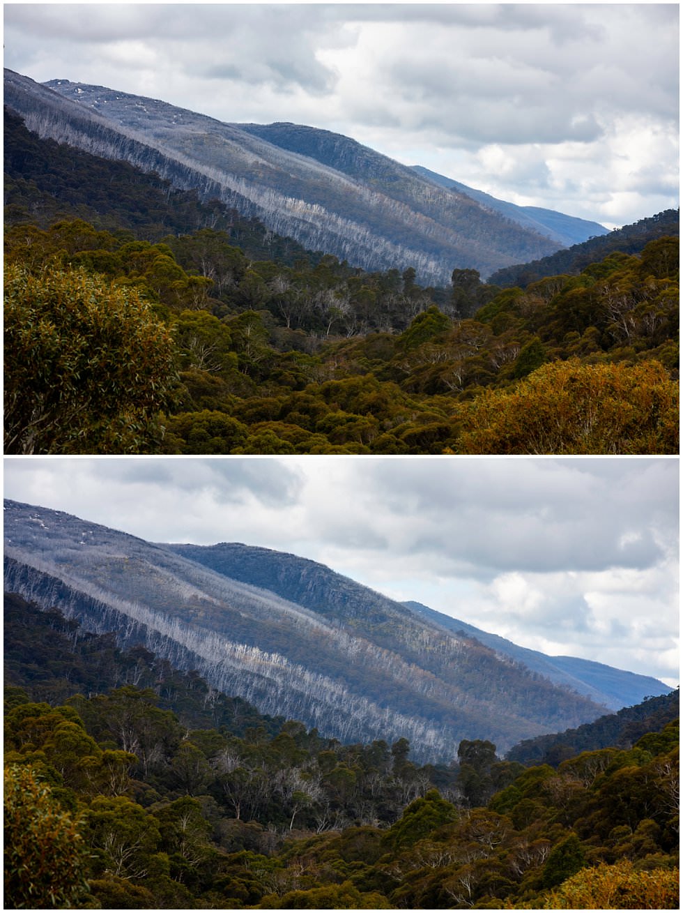 ArtyJ Photography | Snowy Mountains, My Travels, Australia, NSW | Snowy Mountains 2019 | Travel